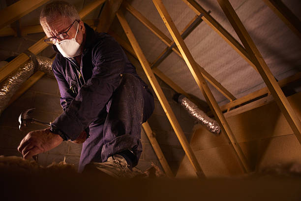 Best Insulation Maintenance and Repair in Melrose Park, NY